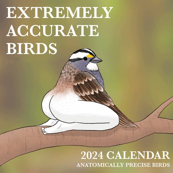 2024 Calendar Of Extremely Accurate Birds -  Funny Birds Wall Calendar