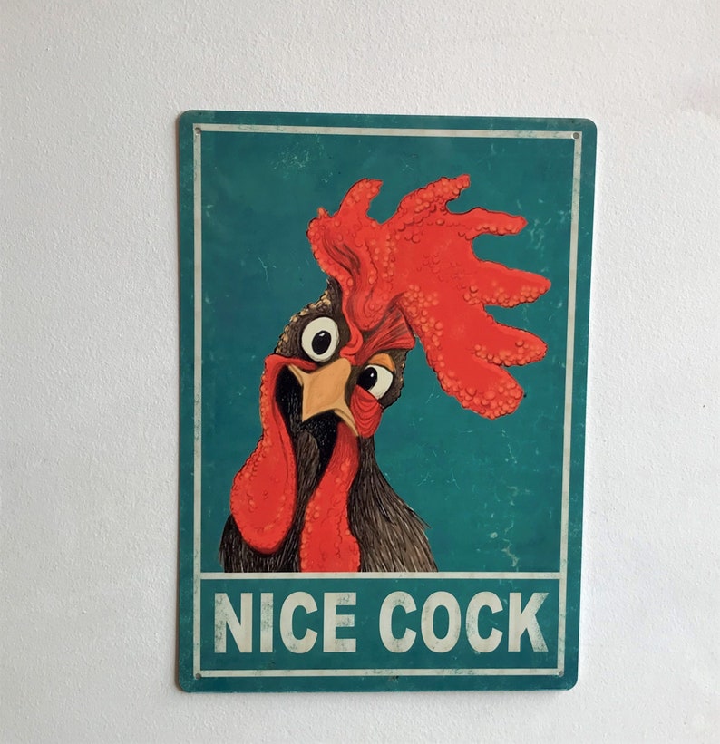 Nice Cock Sign, Hi Chick! Funny Metal Wall Art, Bathroom Decor, Cockerel, Chicken Aluminium Sign